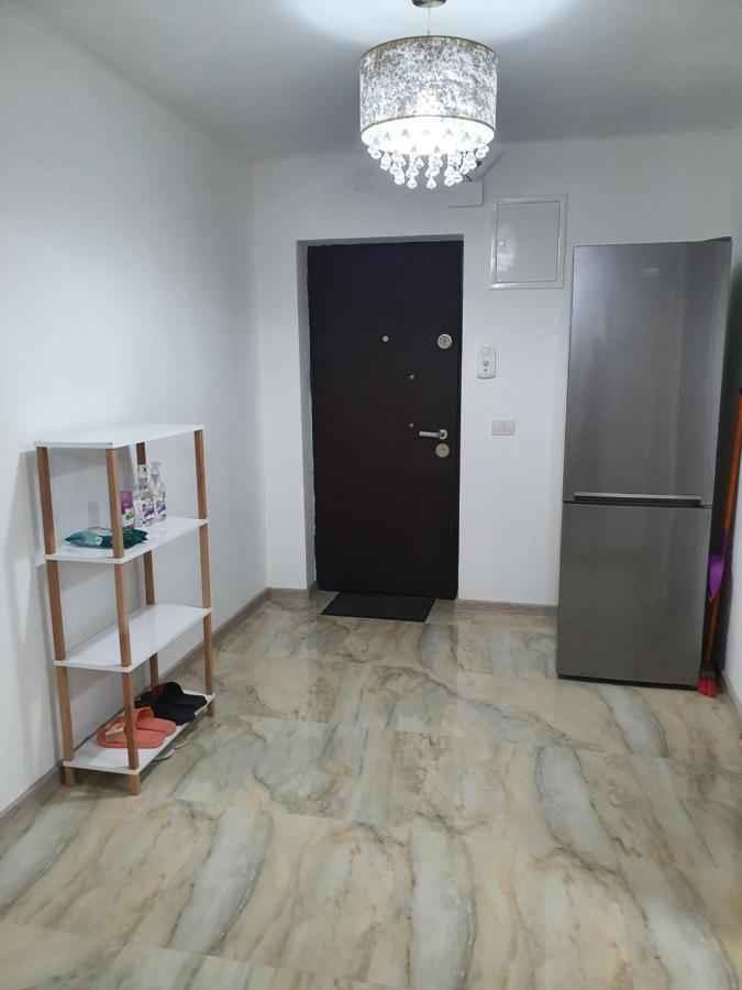 Kriss Apartment Luxury Târgu Jiu エクステリア 写真